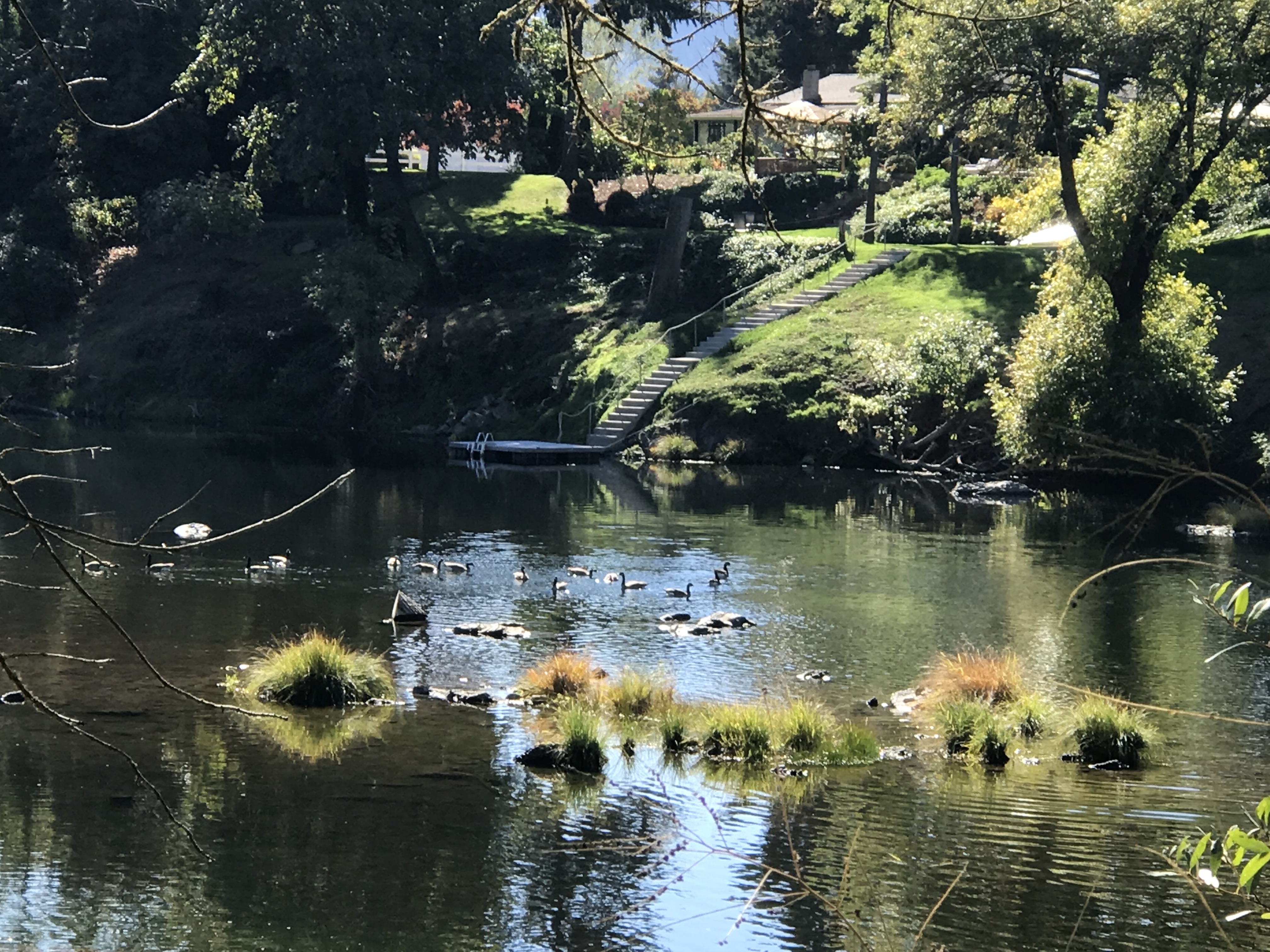 Rising River RV Park Roseburg, Oregon
